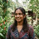 Sinhalese