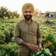 Saini