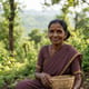Kathodi