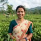 Bhumija (Assamese)