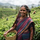Indian Tamils