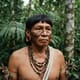Uncontacted of Teles Pires