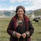 Qinghai Mongols
